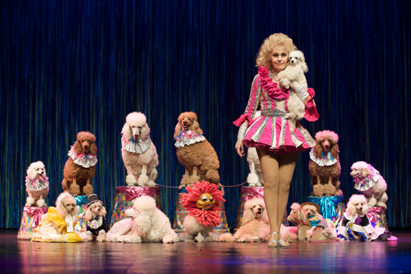 The_Poodle_Trainer