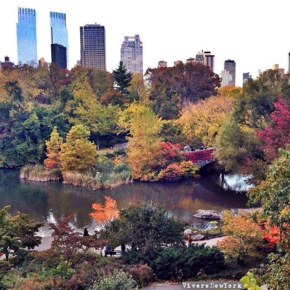 foliage-centralpark