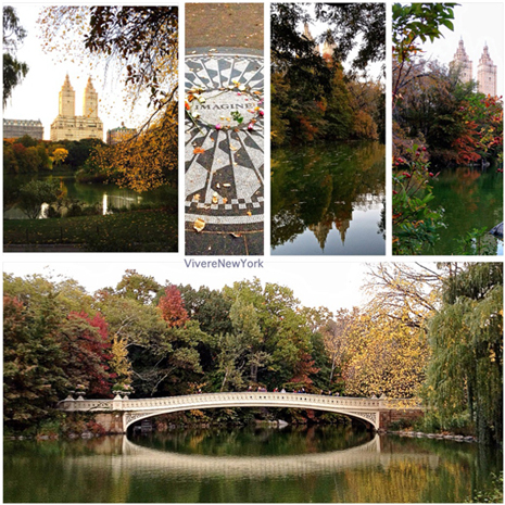 Foliage a Central Park: qualche foto