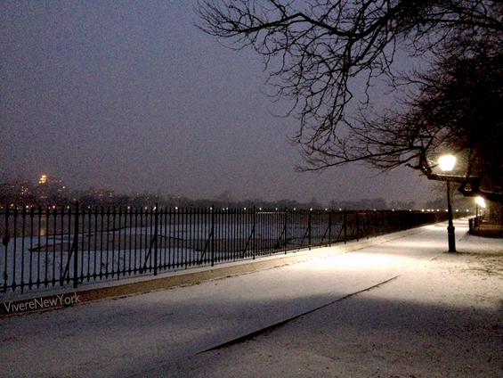 Ghiaccio e neve rendono New York ancor più magica