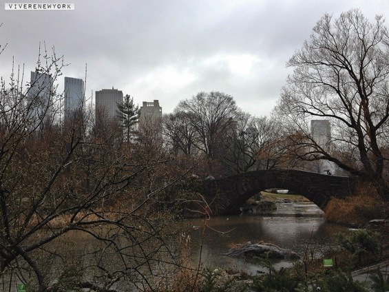 Central Park sotto la pioggia