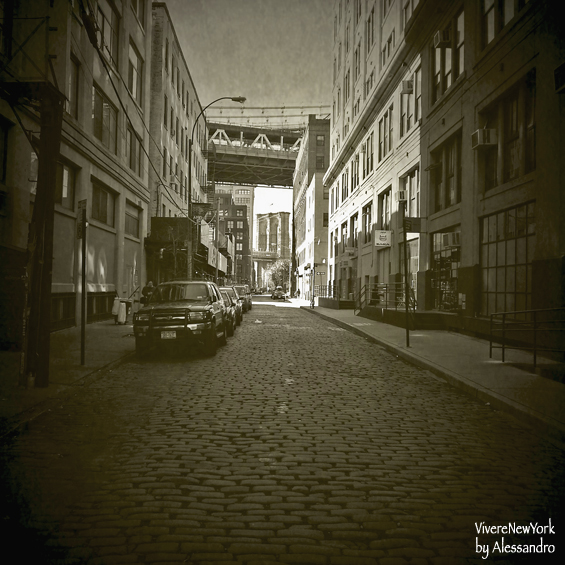 dumbo