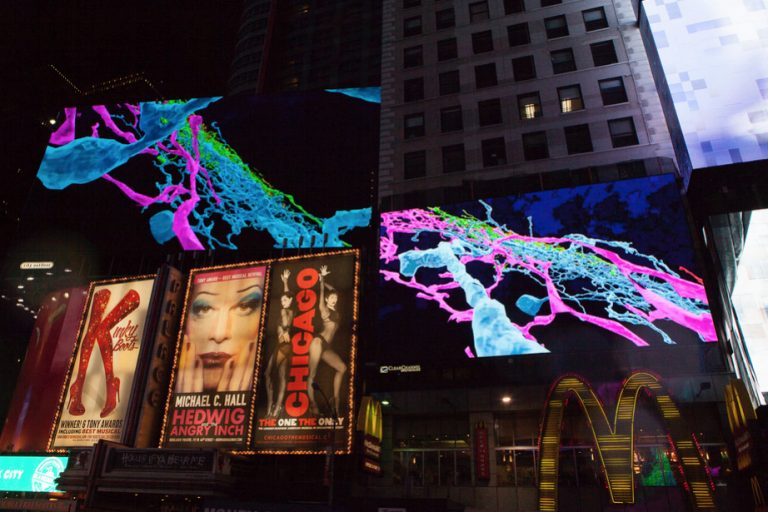 Le luci di Times Square a mezzanotte: cervello umano o paesaggio urbano?
