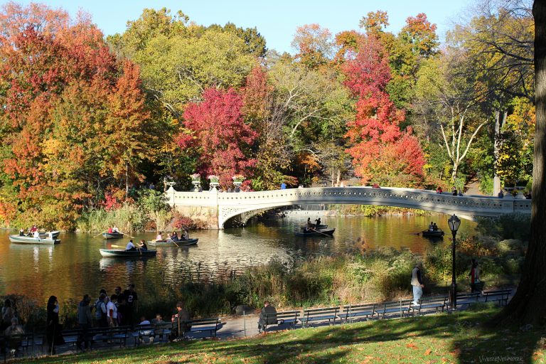 I meravigliosi colori del foliage di Central Park